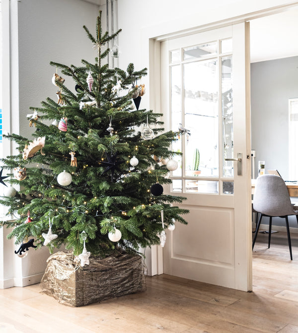 Celebrate Christmas this year, in the most eco-friendly way!