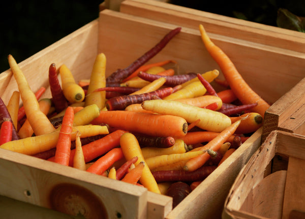 It is carrot season!