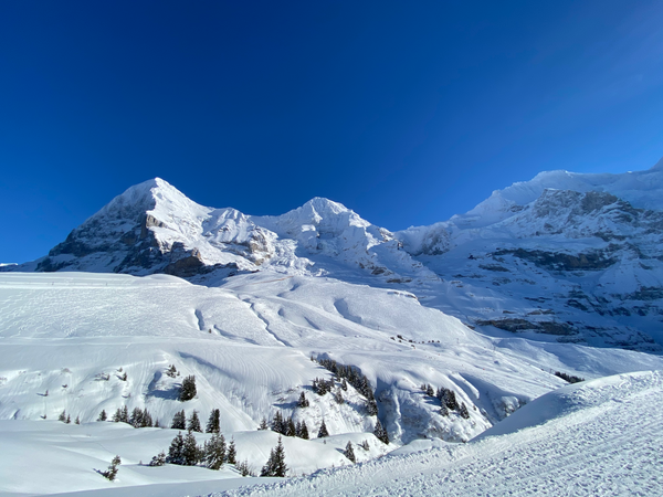 Time to hit the slopes! 3 ski regions to discover in Switzerland