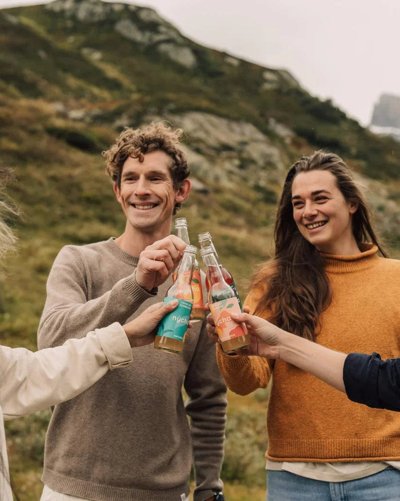 Refreshing Ginger Kombucha (16 bottles)